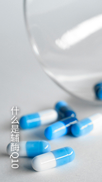 什么是輔酶Q10