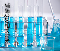 輔酶Q10相關(guān)技術(shù)